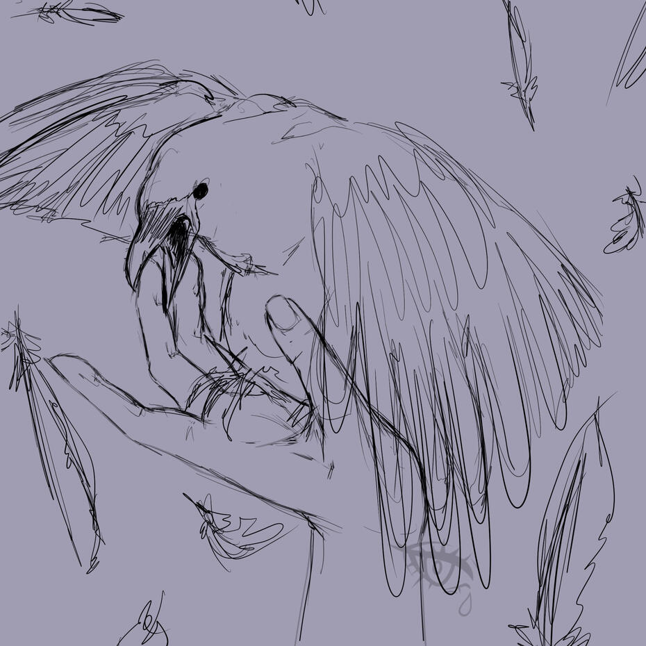 Crow sketch